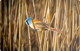 6 Product Launch Email Examples You’ll Want to Steal